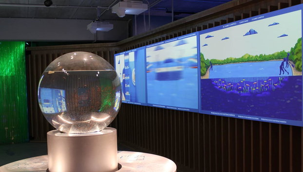 Museo Pescanova Biomarine Center - Foto 4